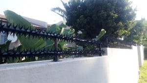 Rotating Star Wall Spikes Double Black Flat.jpg